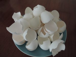 Leo van Tongerloo, Ex eggs, Eierschalen auf Keramik