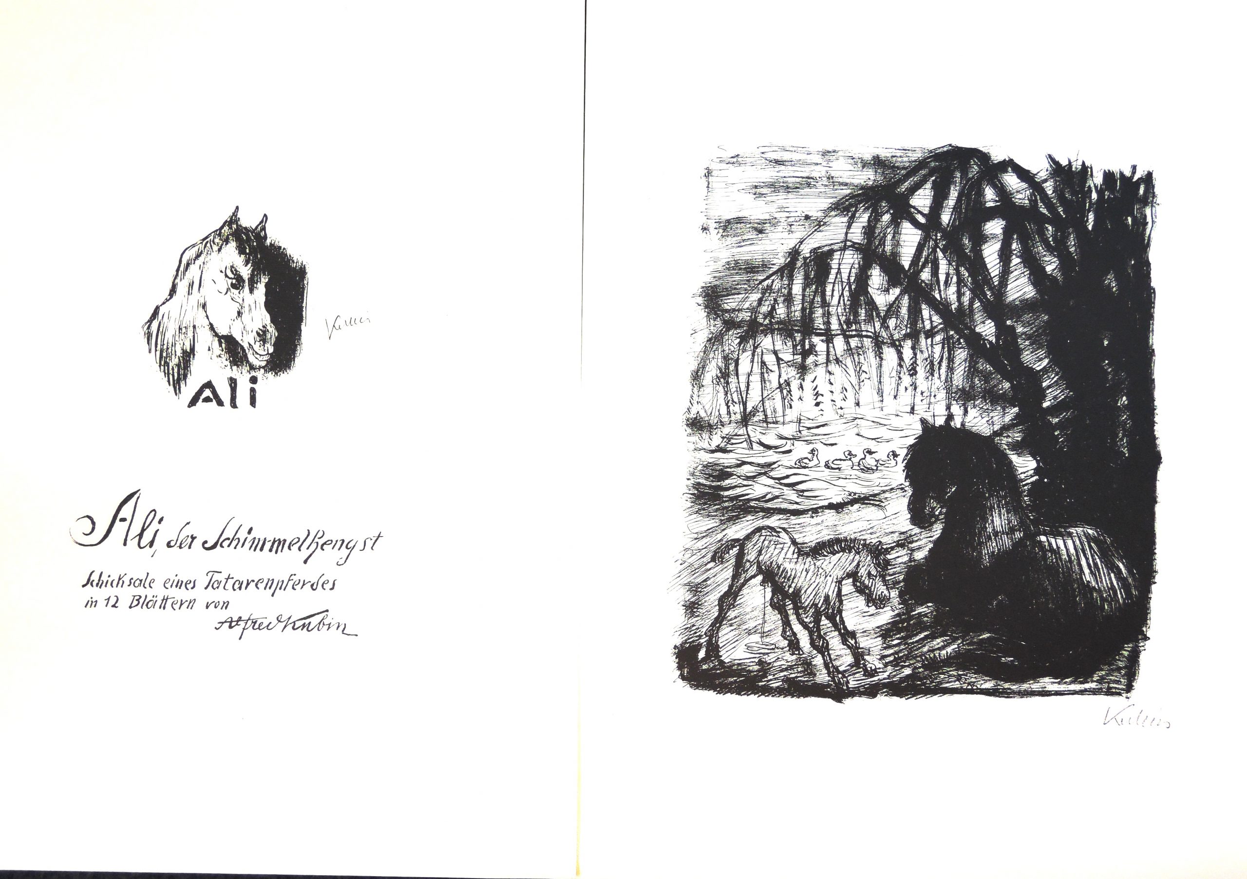 Alfred Kubin, Ali, der Schimmelhengst – Schicksale eines Tatarenpferdes in 12 Blättern