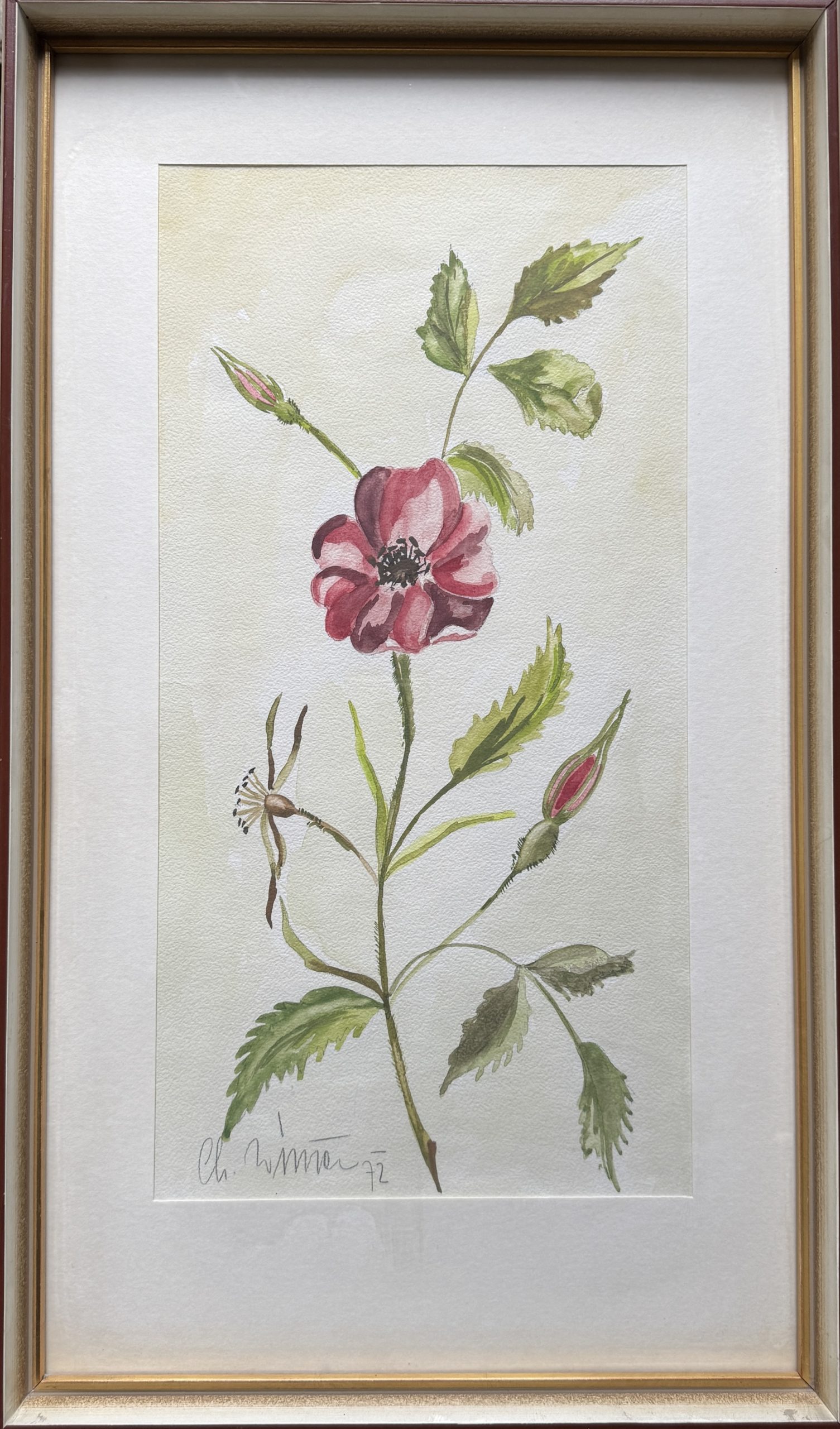 Ch. Wimmer – Florale Skizze rot